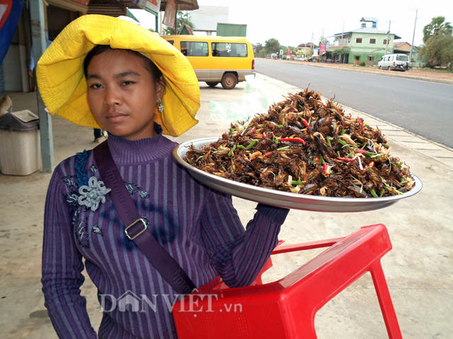 Độc đáo món đặc sản côn trùng ở Campuchia