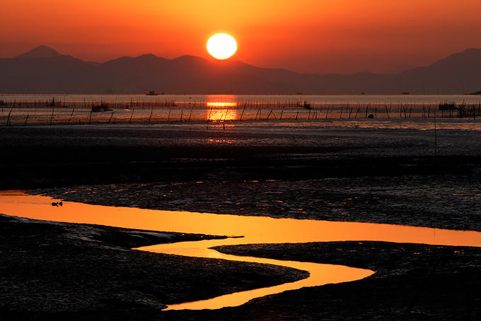 Cánh đồng lau sậy lớn nhất Hàn Quốc