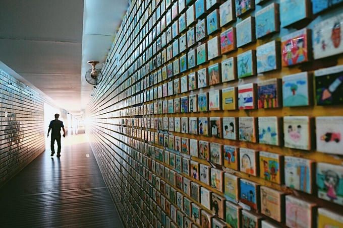 Cánh đồng lau sậy lớn nhất Hàn Quốc