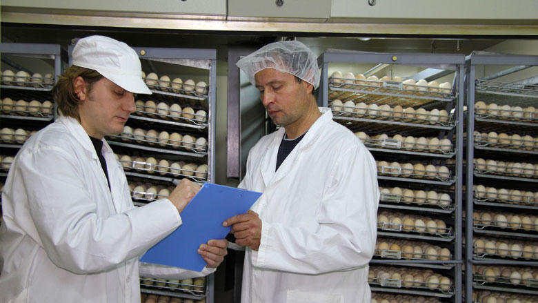 Vụ bê bối trứng “bẩn” rúng động