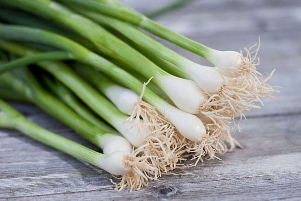 cac-mon-chong-chi-dinh-voi-thit-ga-1