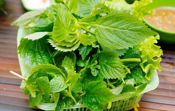 cac-mon-chong-chi-dinh-voi-thit-ga-9