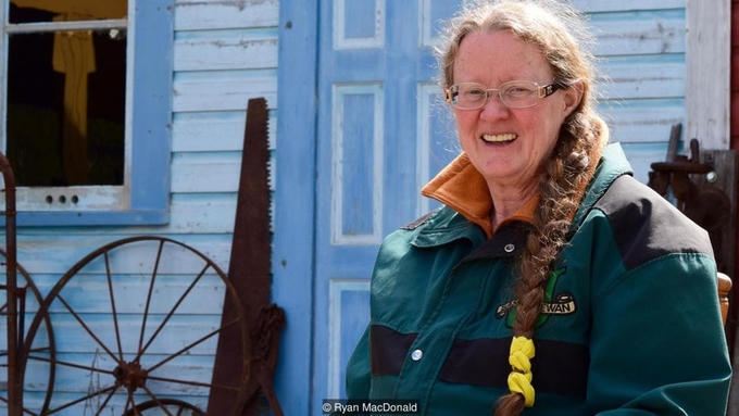 Đến xứ sở đãi vàng tìm kho báu ở Canada