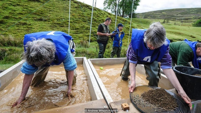 Đến xứ sở đãi vàng tìm kho báu ở Canada