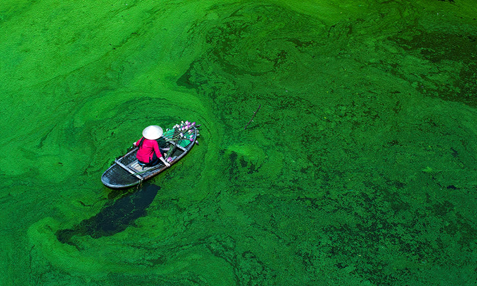 Nhung goc nho tuyet dep cua Ha Noi hinh anh 7