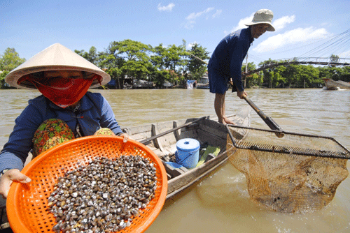 nho to canh hen dan da ngay he hinh anh 1