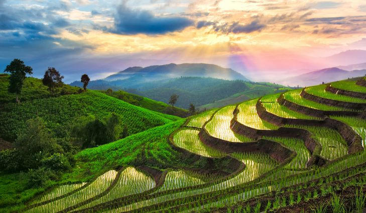 Nhung thua ruong bac thang tuyet dep khap chau A hinh anh 3