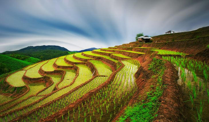 Nhung thua ruong bac thang tuyet dep khap chau A hinh anh 6