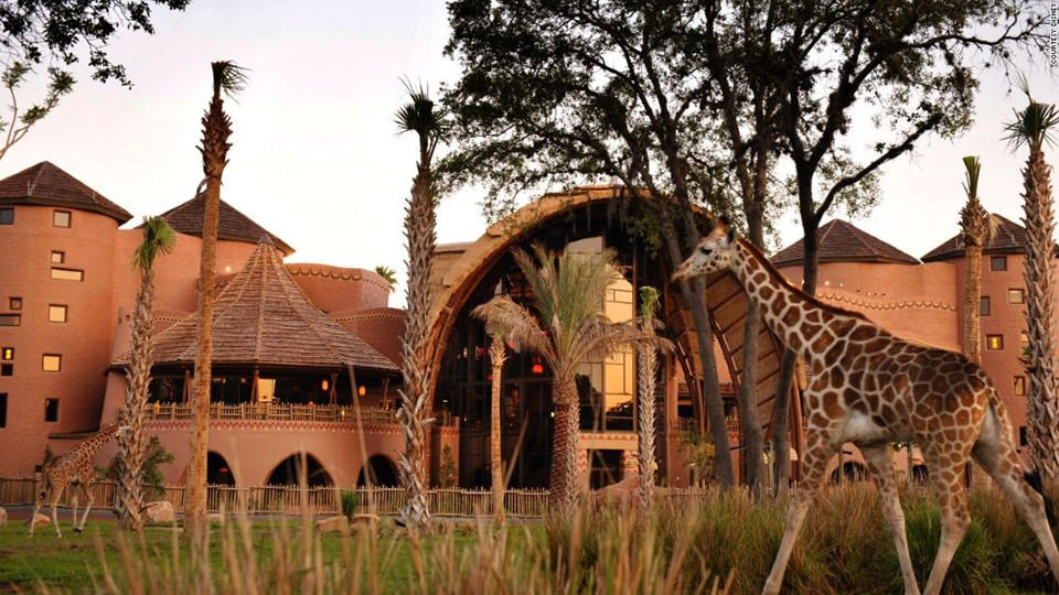 Nhung khach san danh cho nguoi yeu dong vat hinh anh 10