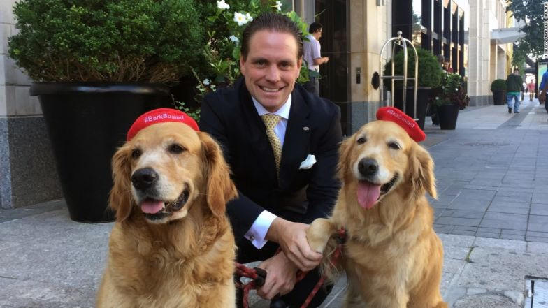 Nhung khach san danh cho nguoi yeu dong vat hinh anh 5