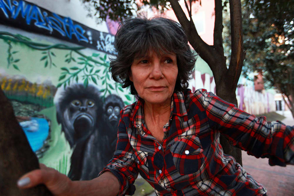 Bi kịch những đứa trẻ được thú hoang nuôi dưỡng