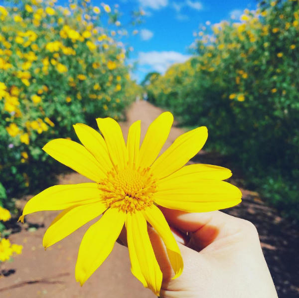 thang-9-mua-thien-nhien-bat-dau-ruc-ro-khap-ba-mien-1