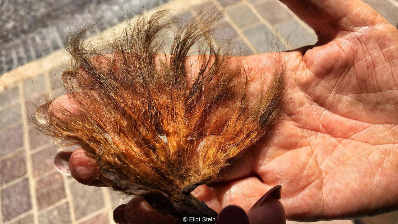 Bí mật của người làm nghề dệt “tơ biển” cuối cùng ở Ý