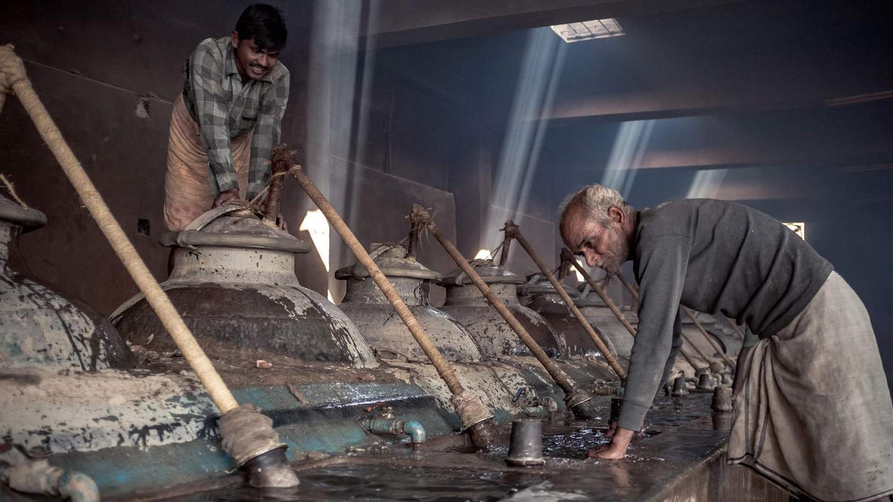 Đến thăm “thánh địa” sản xuất nước hoa hồng Ấn Độ