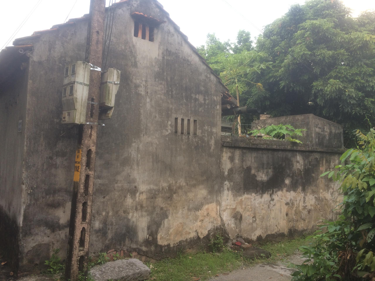 Kẻ trộm làm chết cụ ông chủ nhà