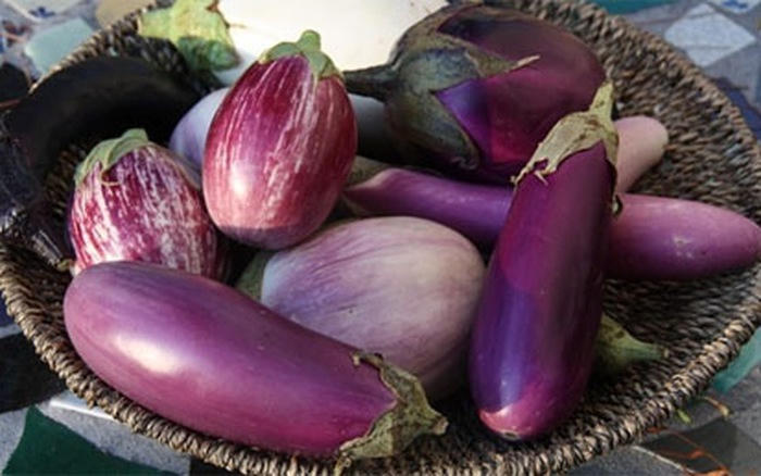 Kết quả hình ảnh cho Cà tím