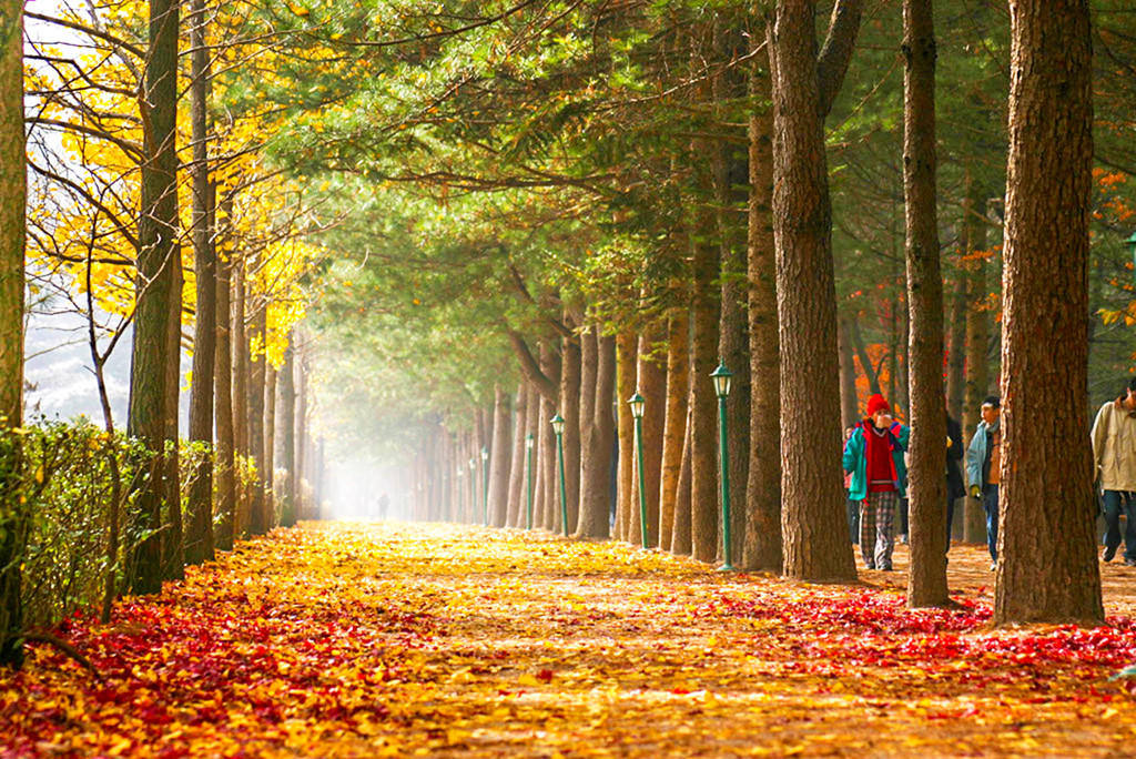 Mua thu tai hon dao trong phim 'Ban tinh ca mua dong' hinh anh 2