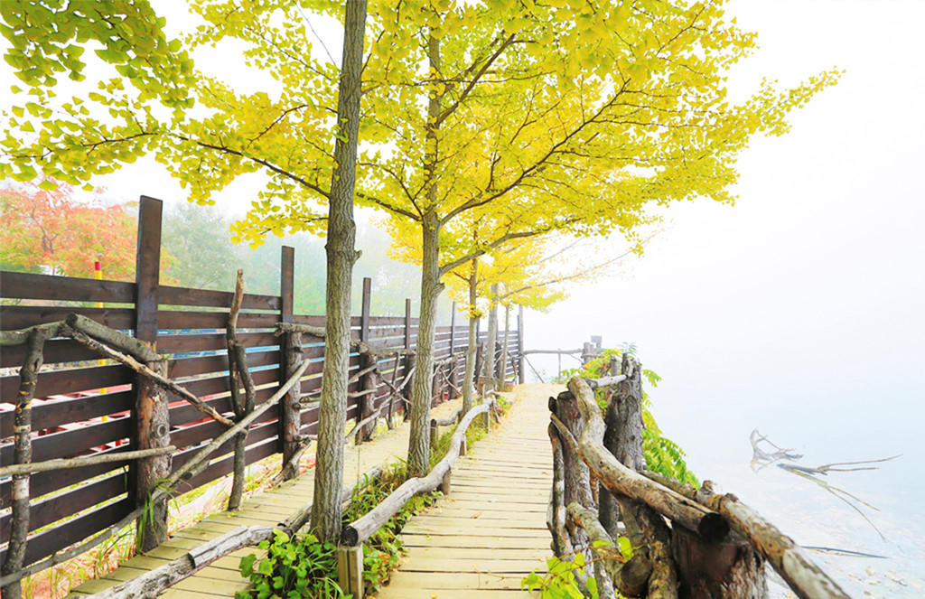 Mua thu tai hon dao trong phim 'Ban tinh ca mua dong' hinh anh 5