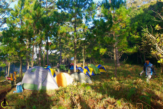 Xuyên rừng chinh phục nóc nhà cao nguyên Lâm Viên