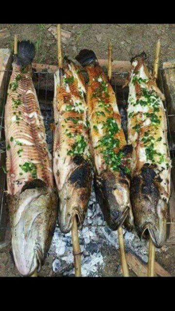 Cá lóc nướng /// Ảnh: Tô Phục Hưng