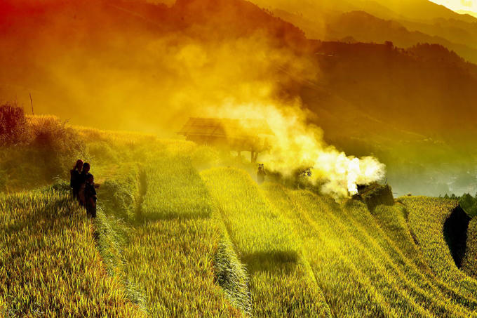 sac-vang-lua-chin-tren-reo-cao-o-mu-cang-chai-8