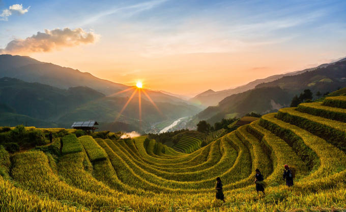 sac-vang-lua-chin-tren-reo-cao-o-mu-cang-chai-4