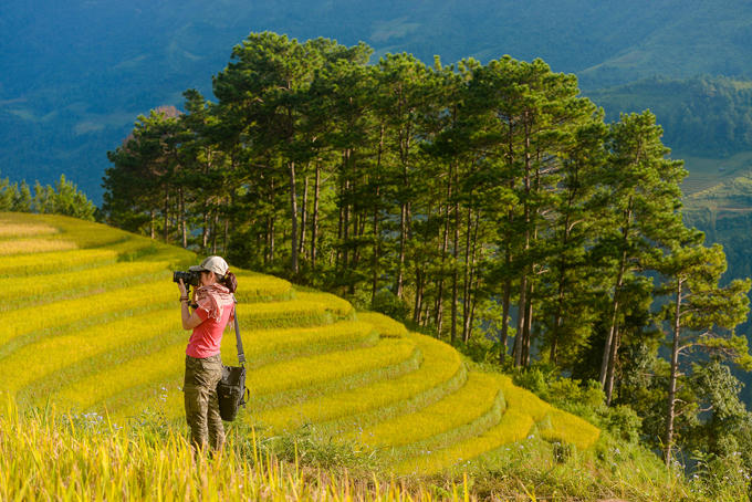 sac-vang-lua-chin-tren-reo-cao-o-mu-cang-chai-3