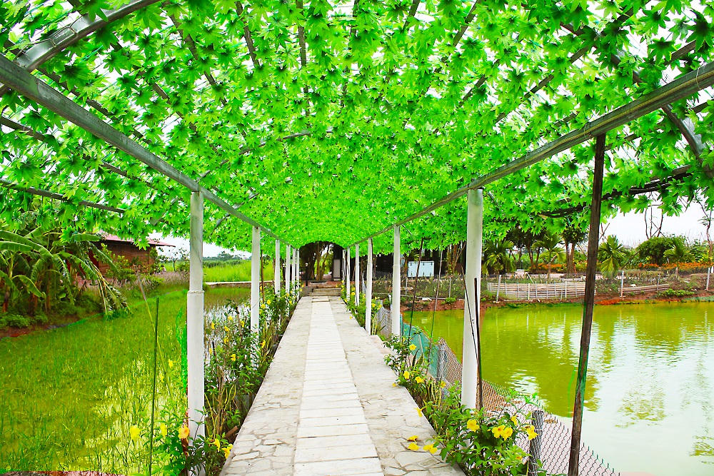 Một ngày “tập làm nông dân” tại nông trang xanh FLC Vĩnh Phúc