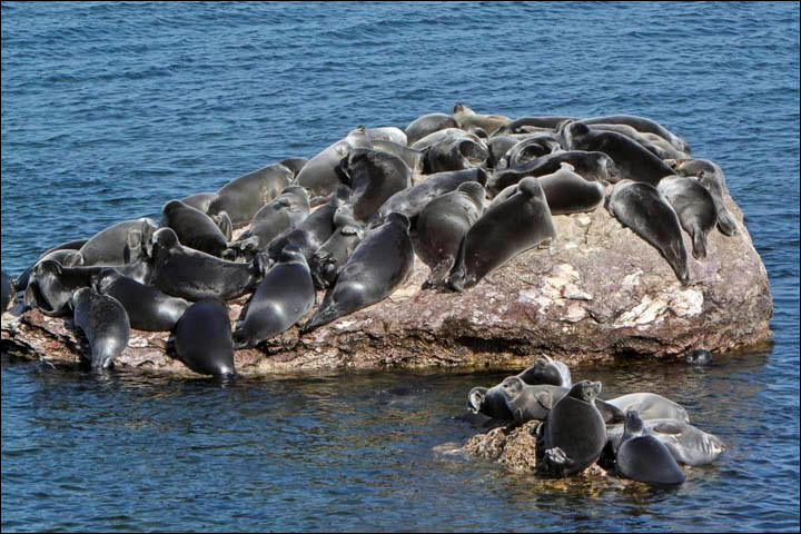 Ve dep cua ho nuoc ngot sau nhat the gioi hinh anh 8