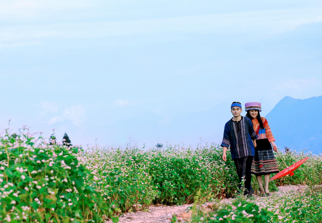 Độc đáo Lễ hội hoa Tam giác mạch Fansipan tháng 10/2017