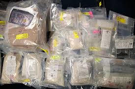 Nước Mỹ đương đầu với 'Chiến tranh Thuốc phiện mới'