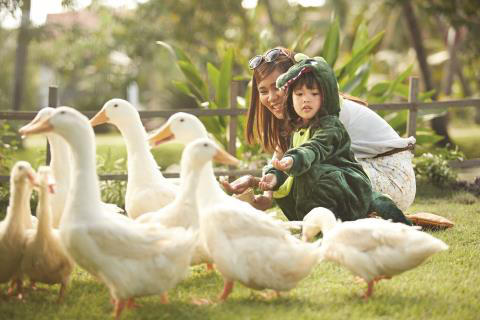 Cha mẹ thông thái dạy con thông minh