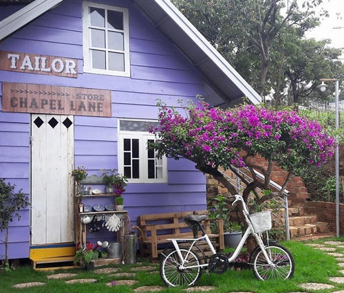 goi-y-cho-ngu-cho-hanh-trinh-san-hoa-da-quy-da-lat