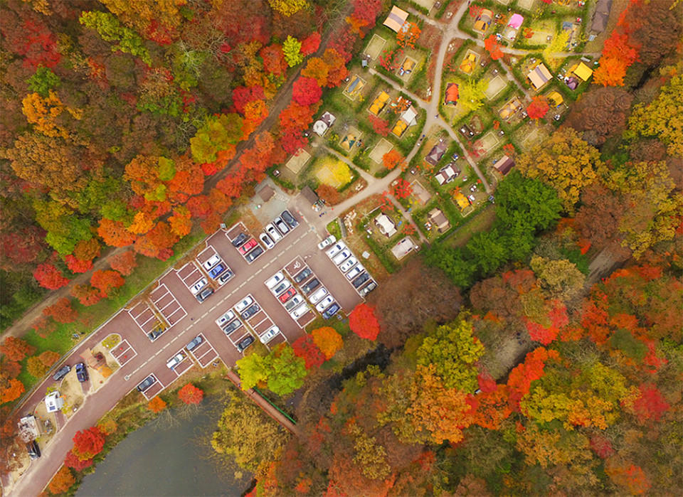 Nhung duong cay mua thu dep nhat the gioi hinh anh 4