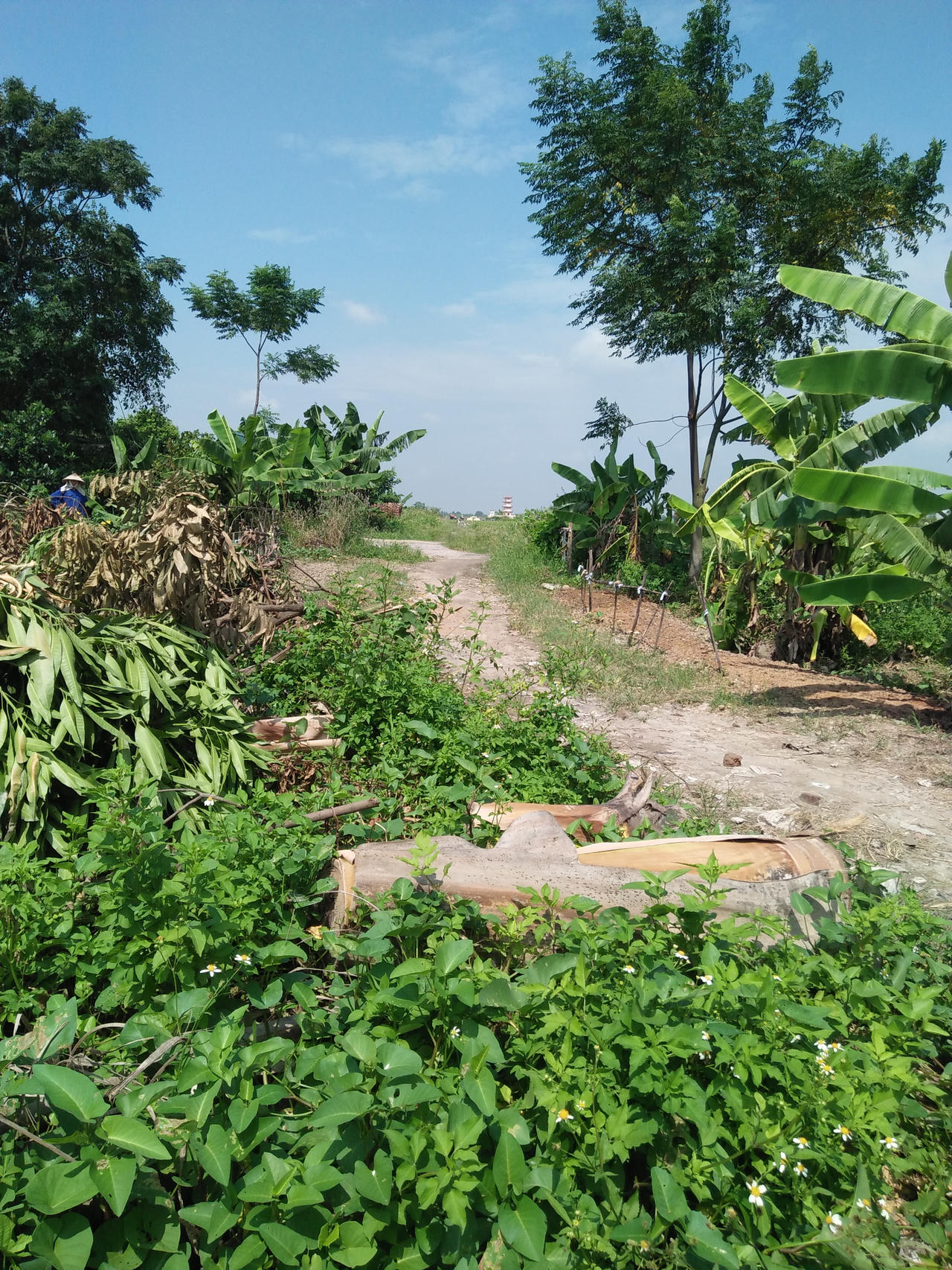 Đội trưởng sản xuất bị tố xúi con trai hành hung hàng xóm