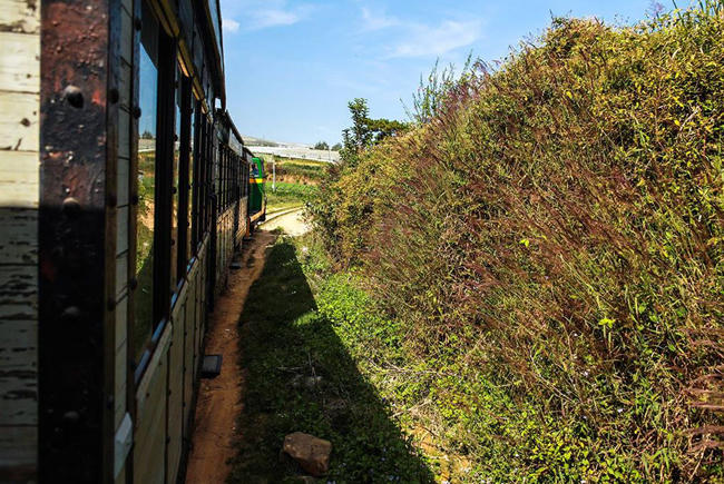 nhung-trai-nghiem-dang-nho-o-viet-nam-khong-dung-hang-bat-ky-dau-3