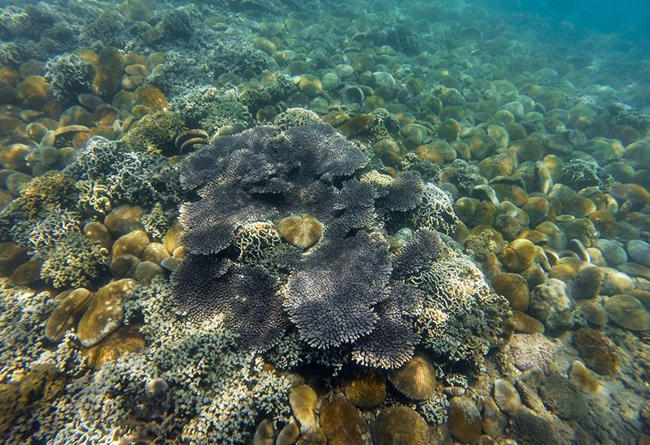 nhung-trai-nghiem-dang-nho-o-viet-nam-khong-dung-hang-bat-ky-dau-5