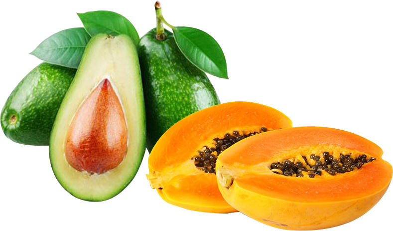 Hình ảnh có liên quan