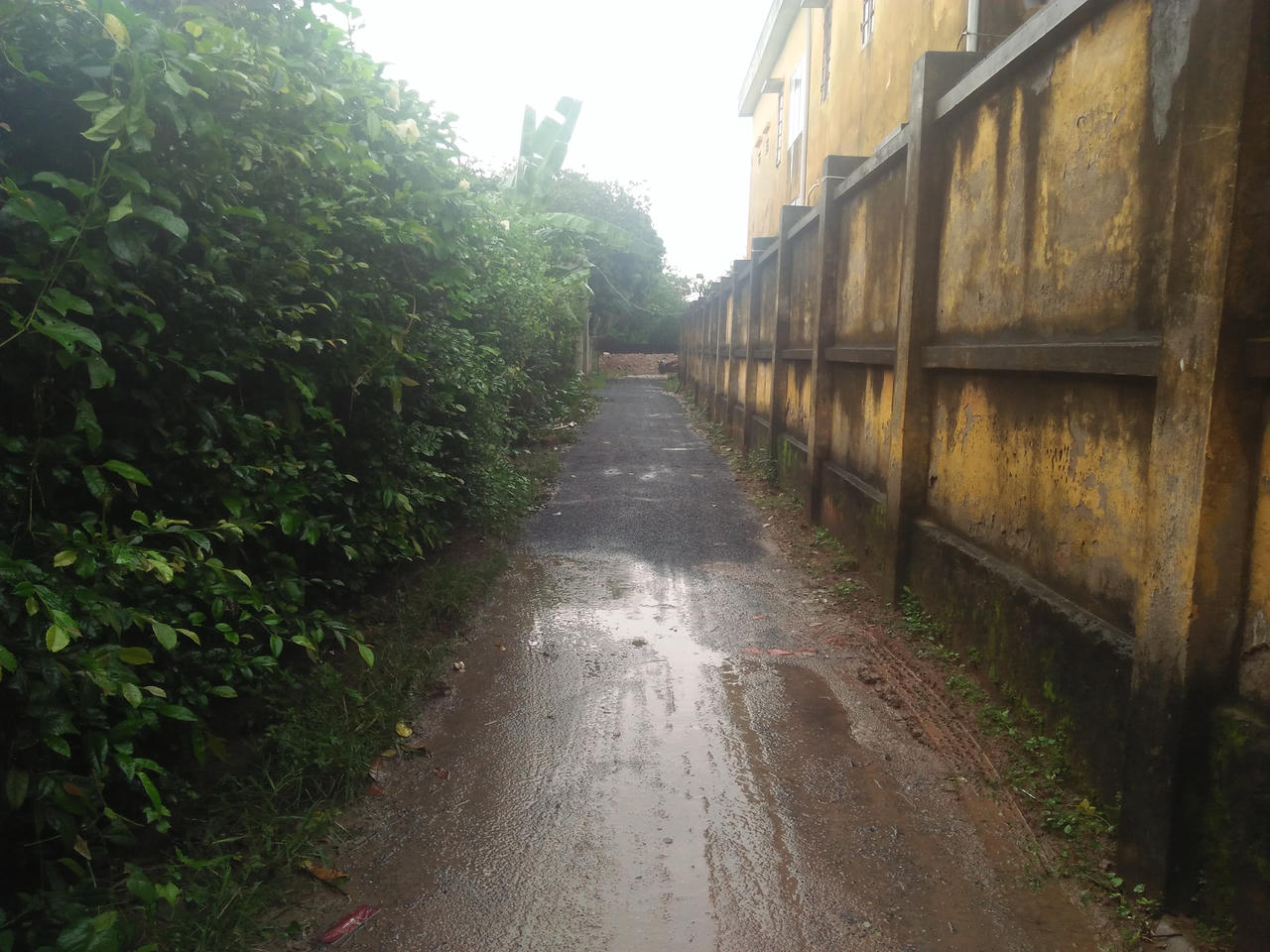 Xã bán đất trái luật dẫn đến vụ kiện lối đi chung rắc rối