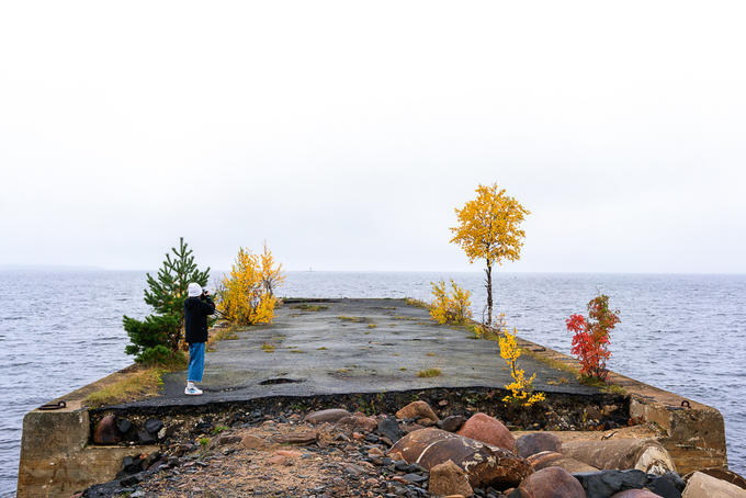 Rừng cây thay lá vàng như mật ngọt ở Phần Lan