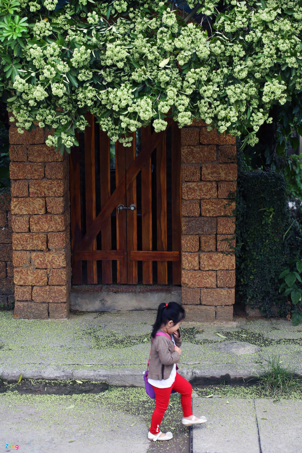 Ngắm Hà Nội vào thu đẹp đến nao lòng