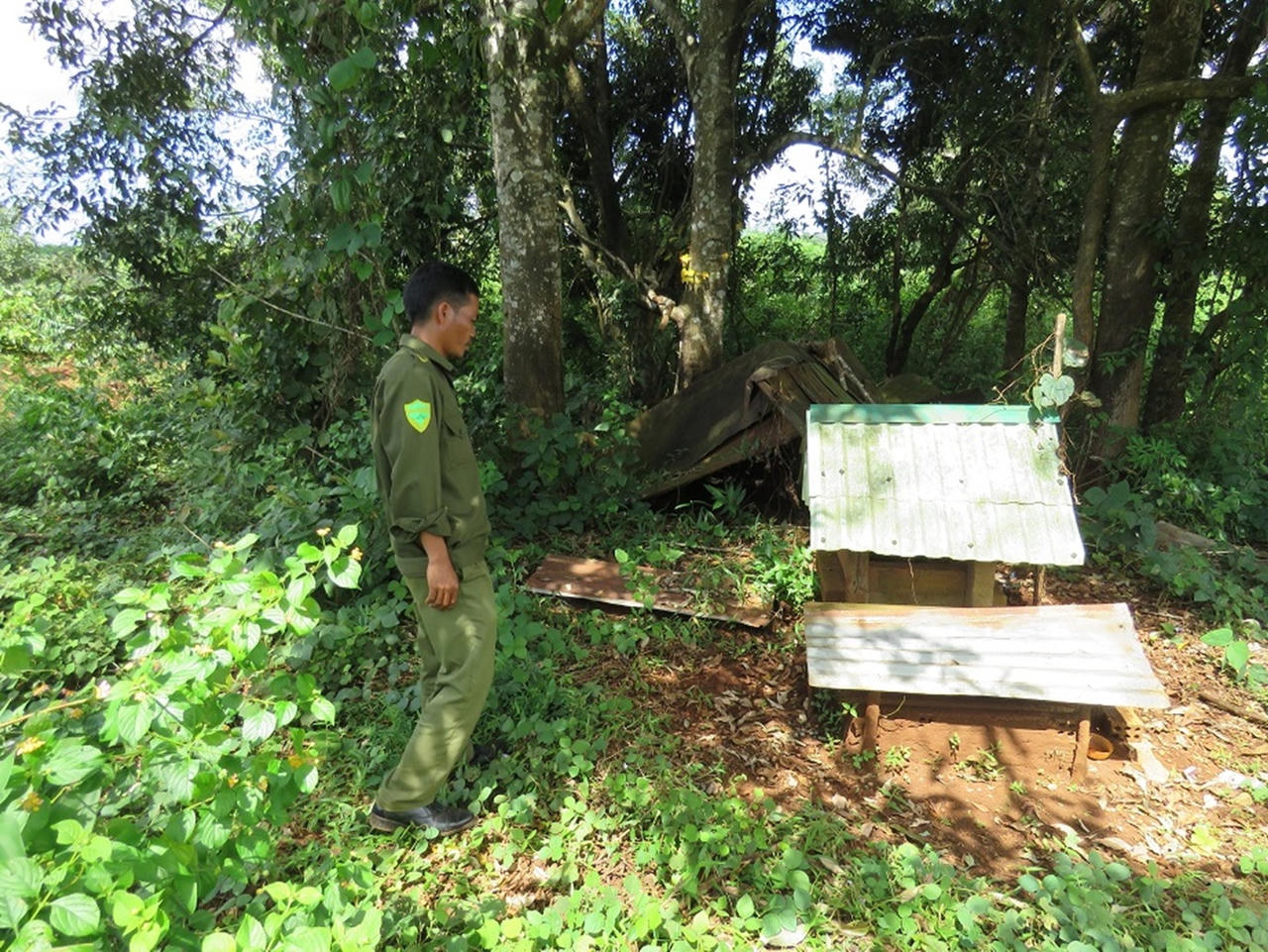 Sợ bị “phạt vạ”, mẹ hại chết con mới đẻ