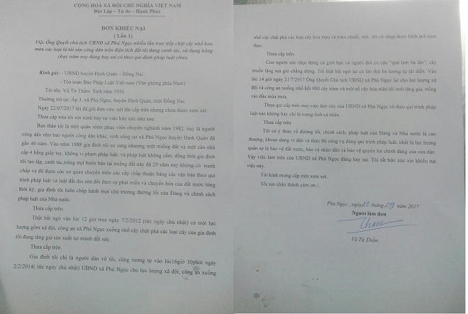Vụ người dân kêu cứu ở Đồng Nai: Xã nhiều lần chặt phá cây cối và nhổ hoa màu?