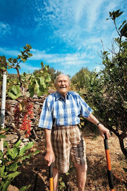 Người Ikaria - Làm việc bằng niềm đam mê để sống lâu và hạnh phúc hơn