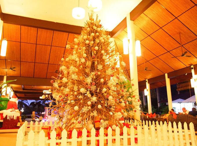 Những cây thông Noel độc và lạ ở Việt Nam