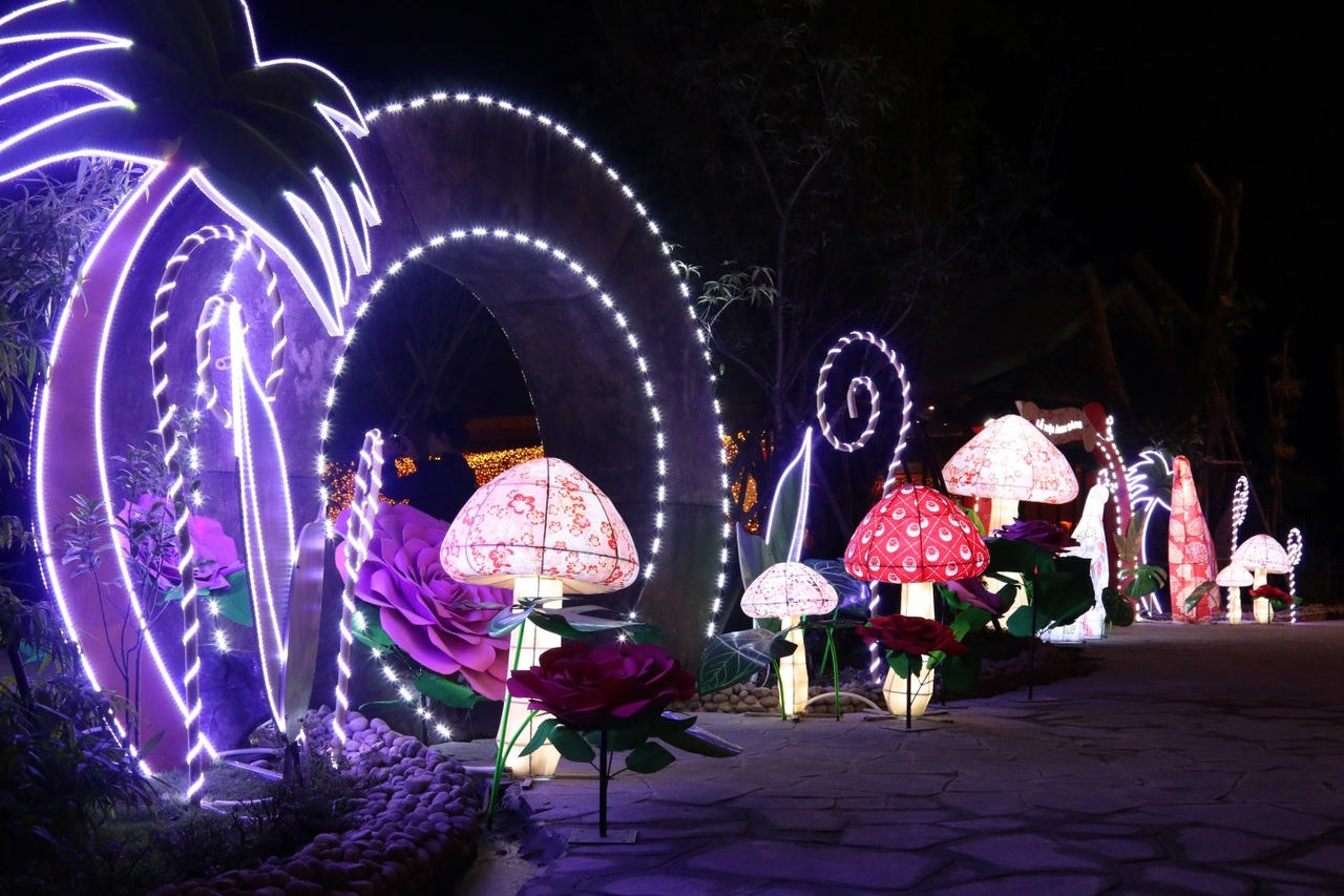 Check-in điểm đến Giáng sinh đẹp nhất ba miền 