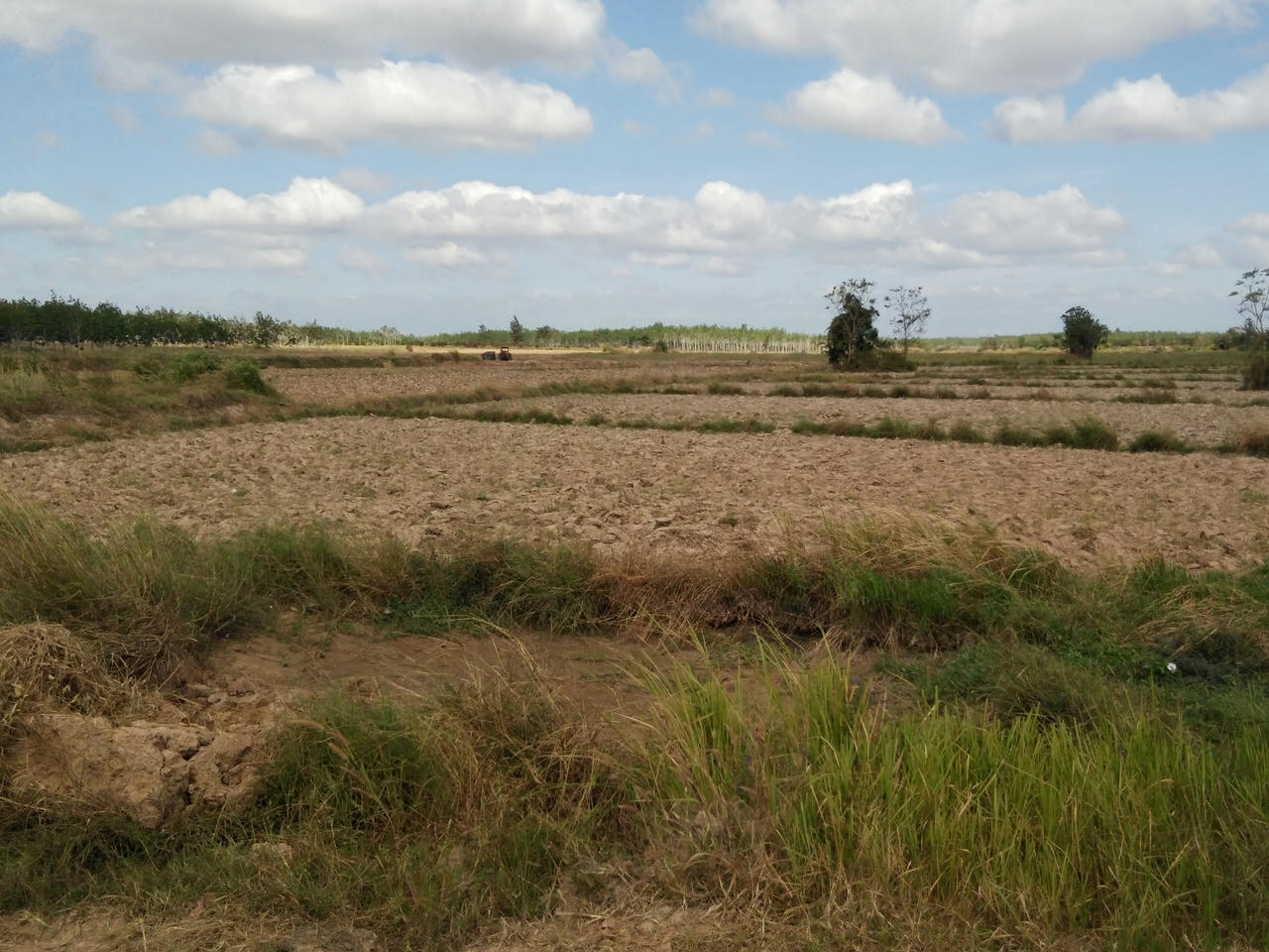 Trọng án từ mâu thuẫn tranh chấp đất khai hoang