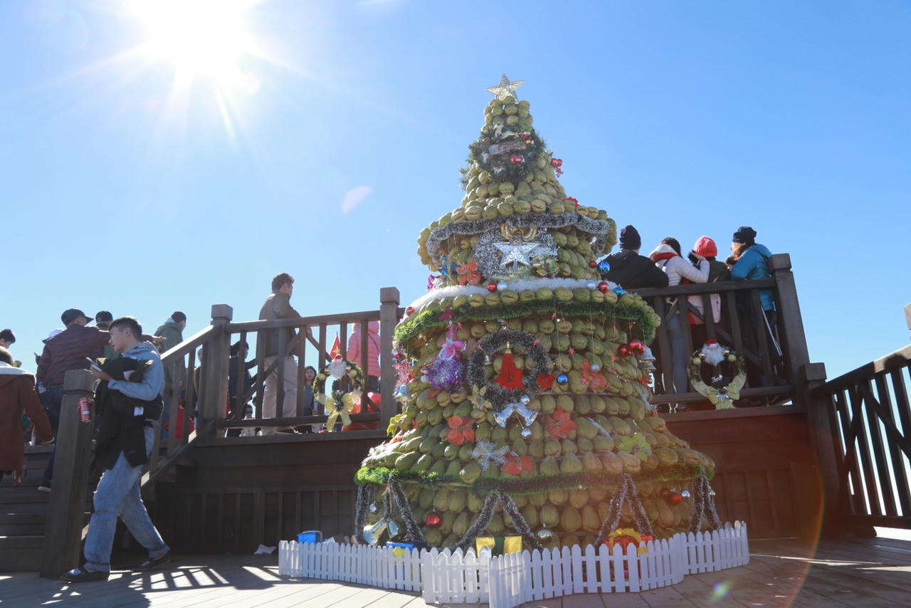 Đón năm mới ở thiên đường tuyết rơi Fansipan, bạn đã thử chưa?