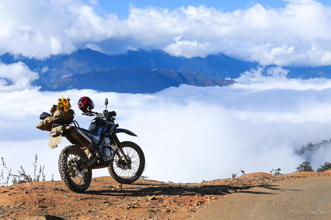 Một chiến mã được nhiều người lựa chọn khi đi cung y Tý