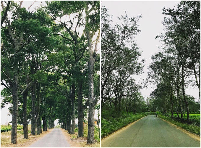 4 con đường ở Tây Nguyên đẹp như cảnh phim ở Tây Nguyên - 2